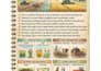 create aesthetic visual study notes and infographic summaries for any subject